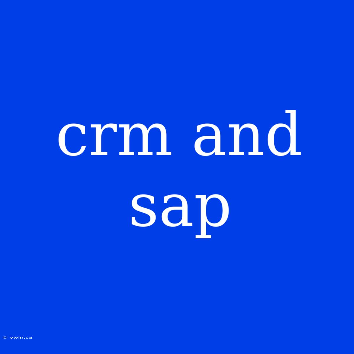 Crm And Sap