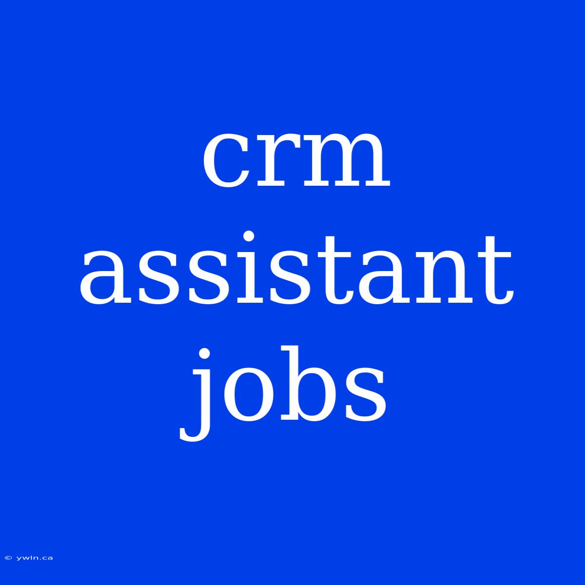 Crm Assistant Jobs