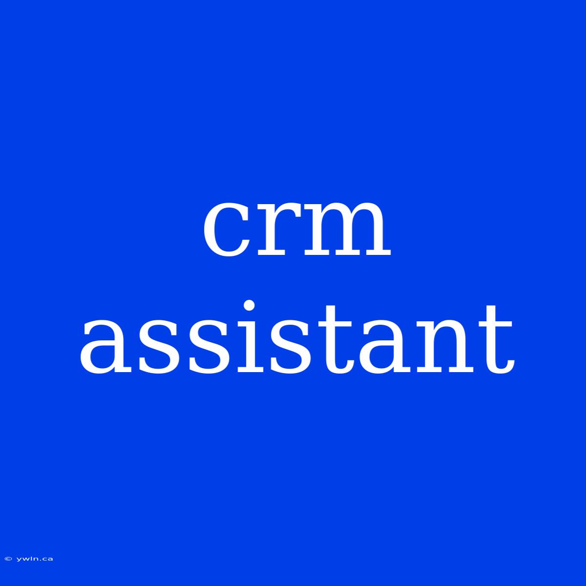 Crm Assistant