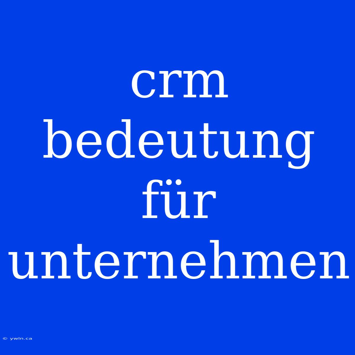 Crm Bedeutung Für Unternehmen