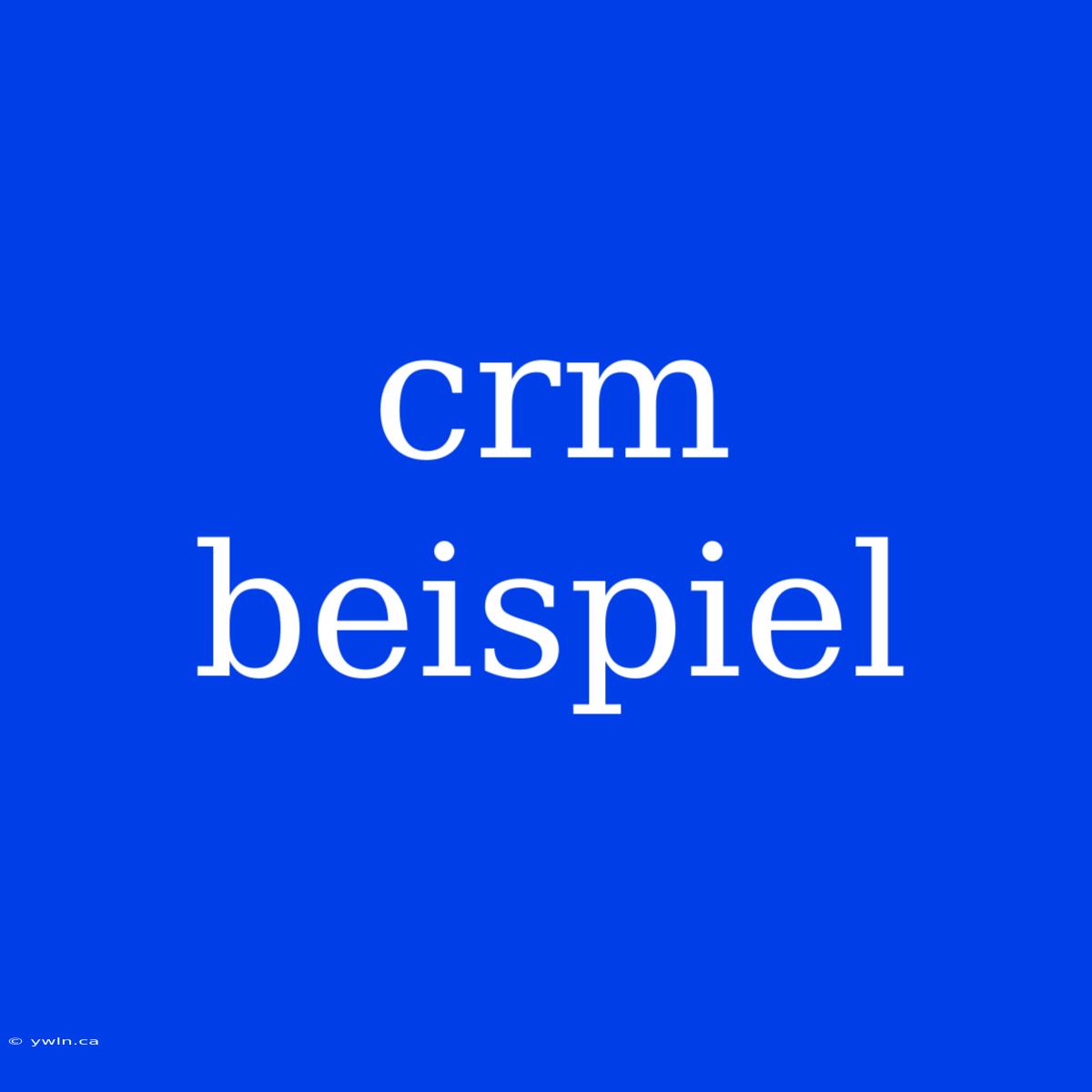 Crm Beispiel