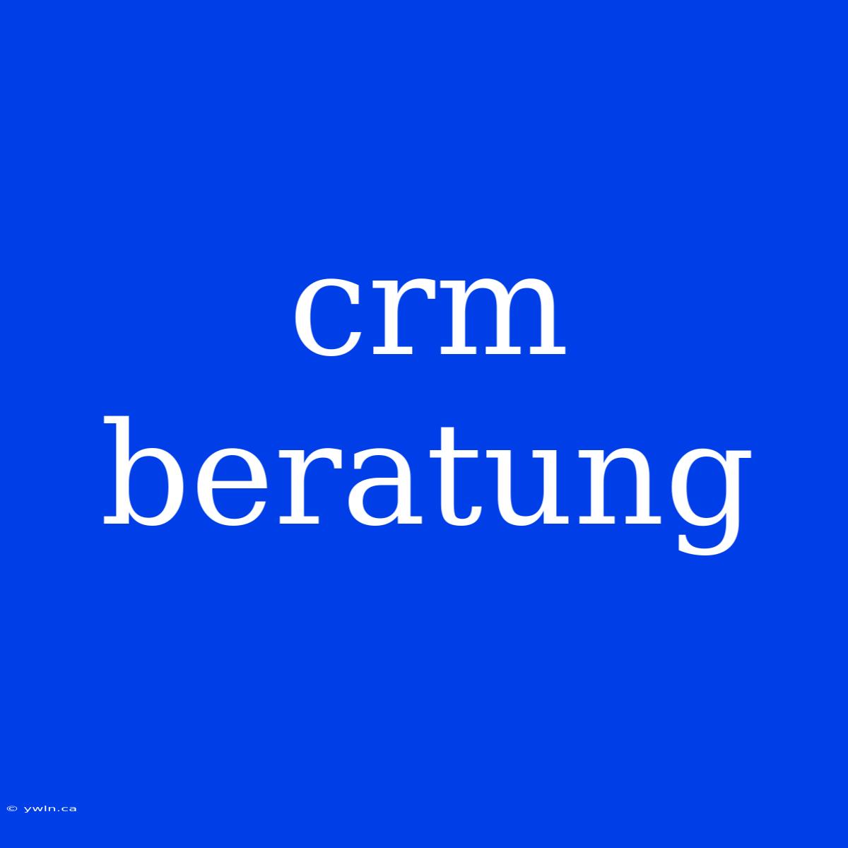 Crm Beratung