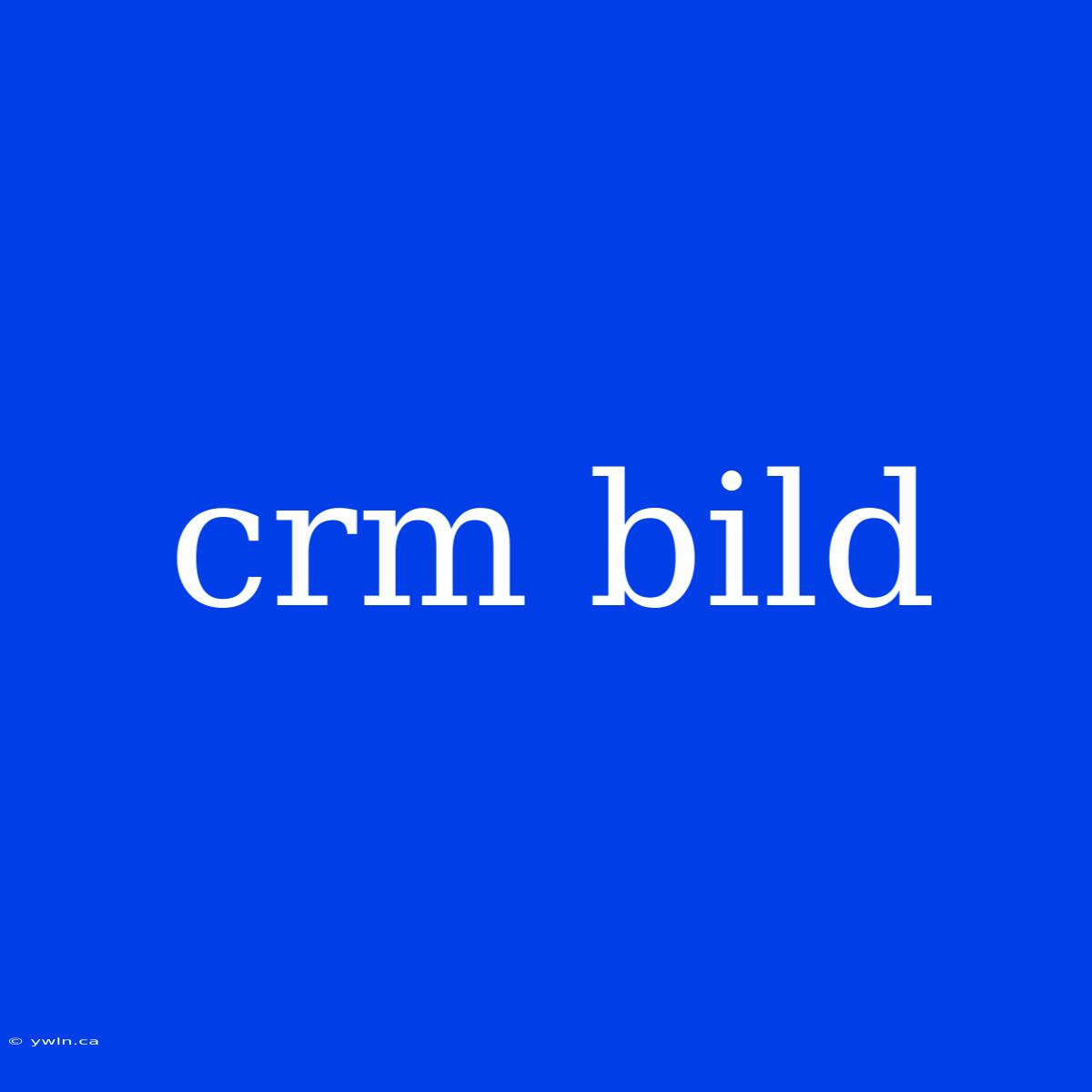 Crm Bild