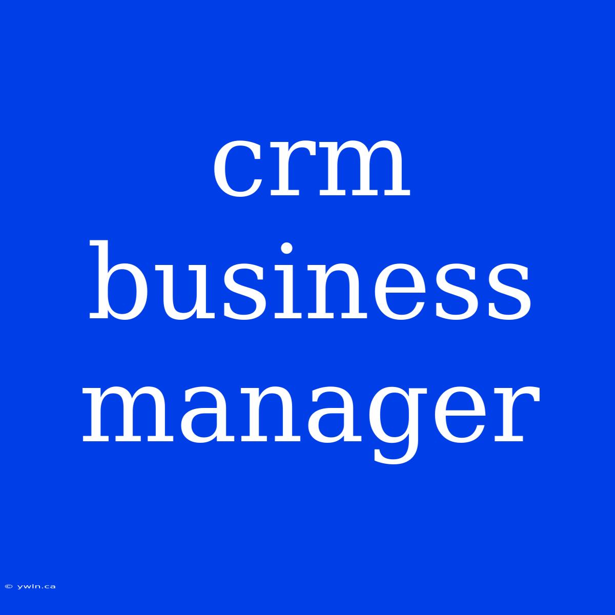 Crm Business Manager