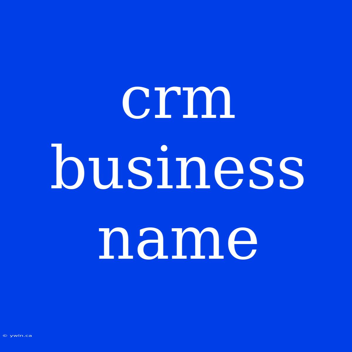 Crm Business Name