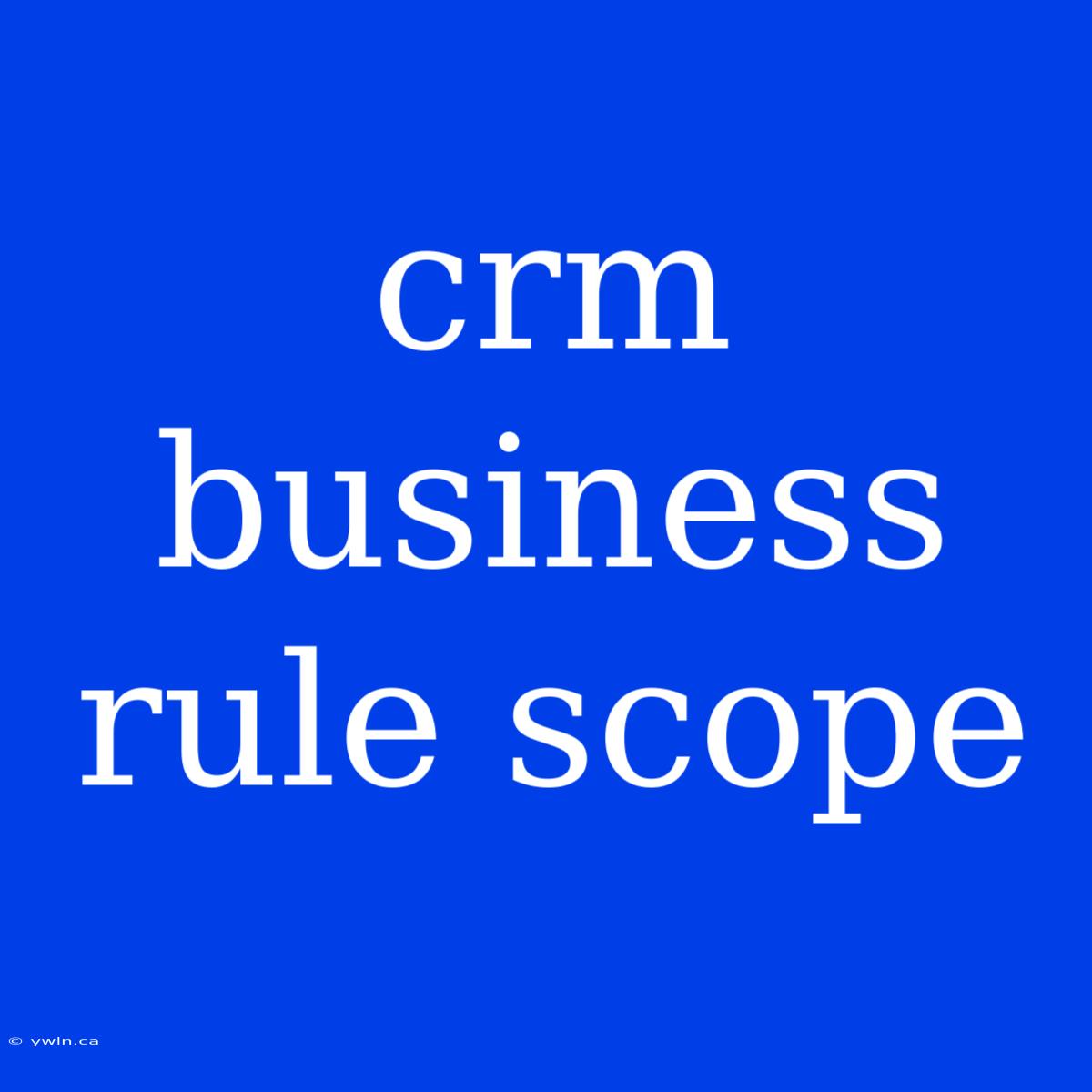 Crm Business Rule Scope