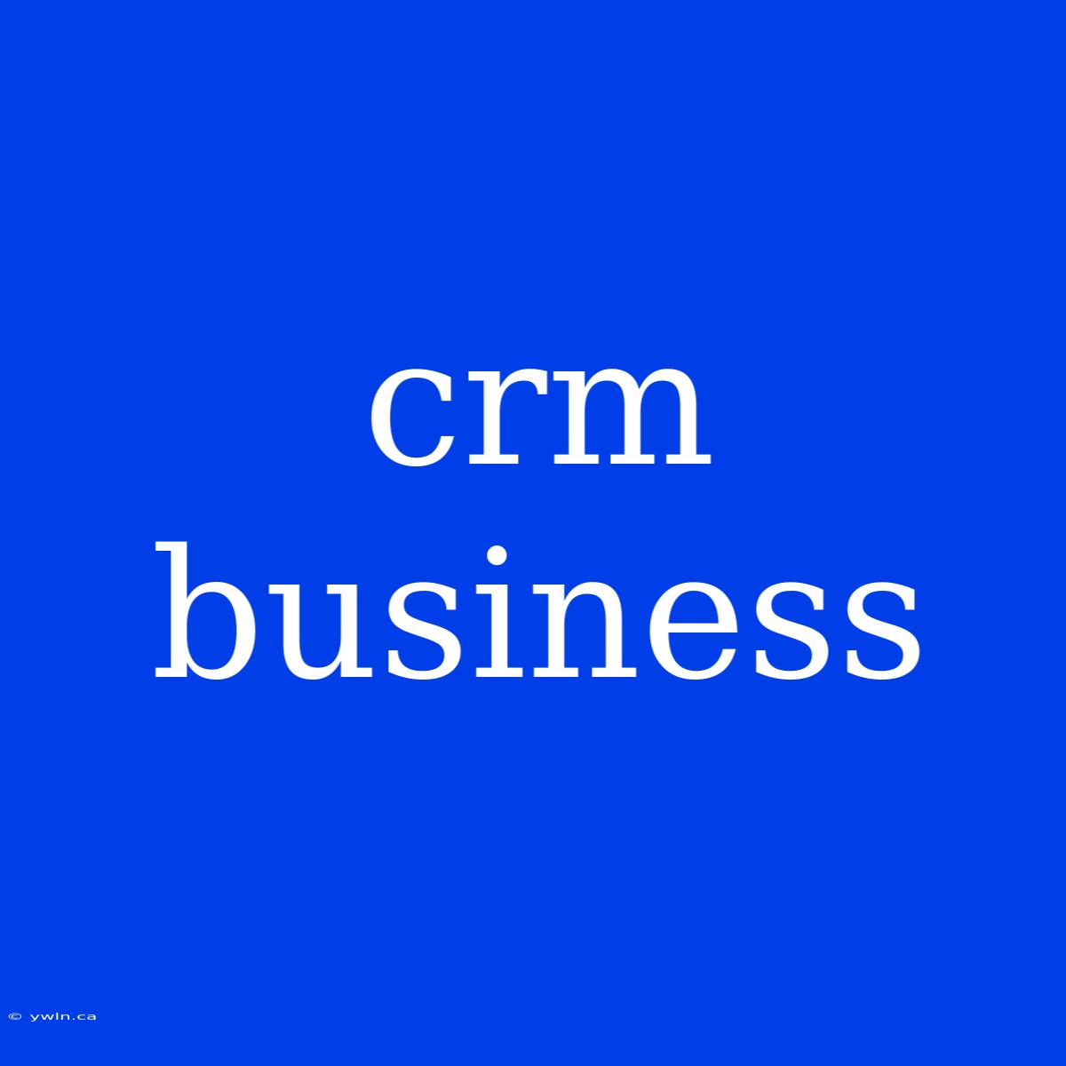 Crm Business