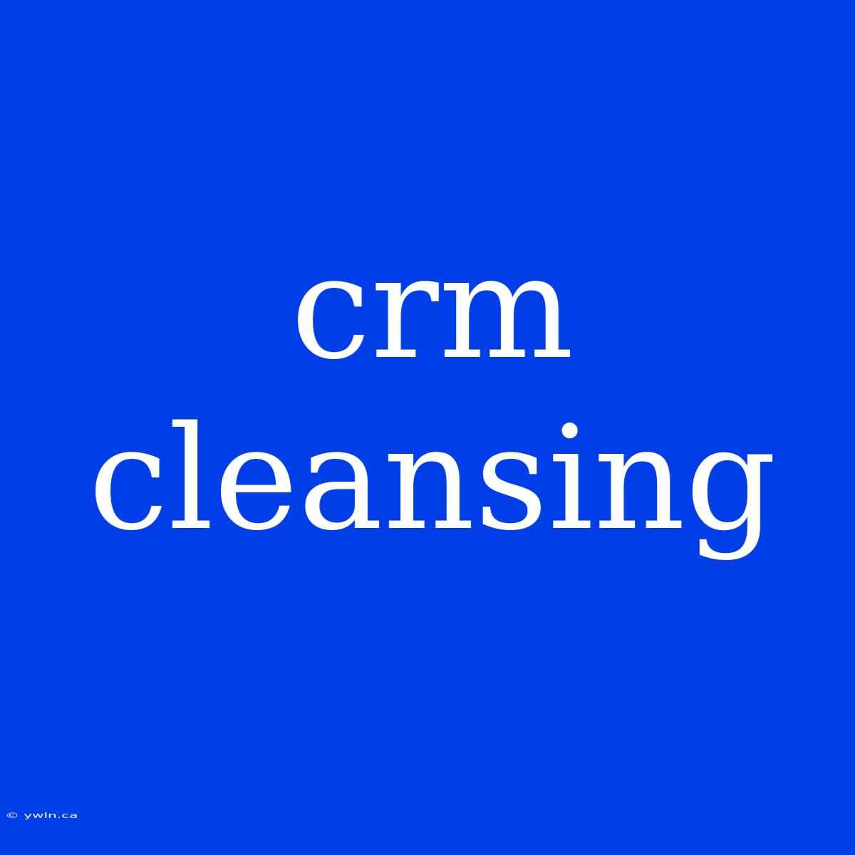 Crm Cleansing