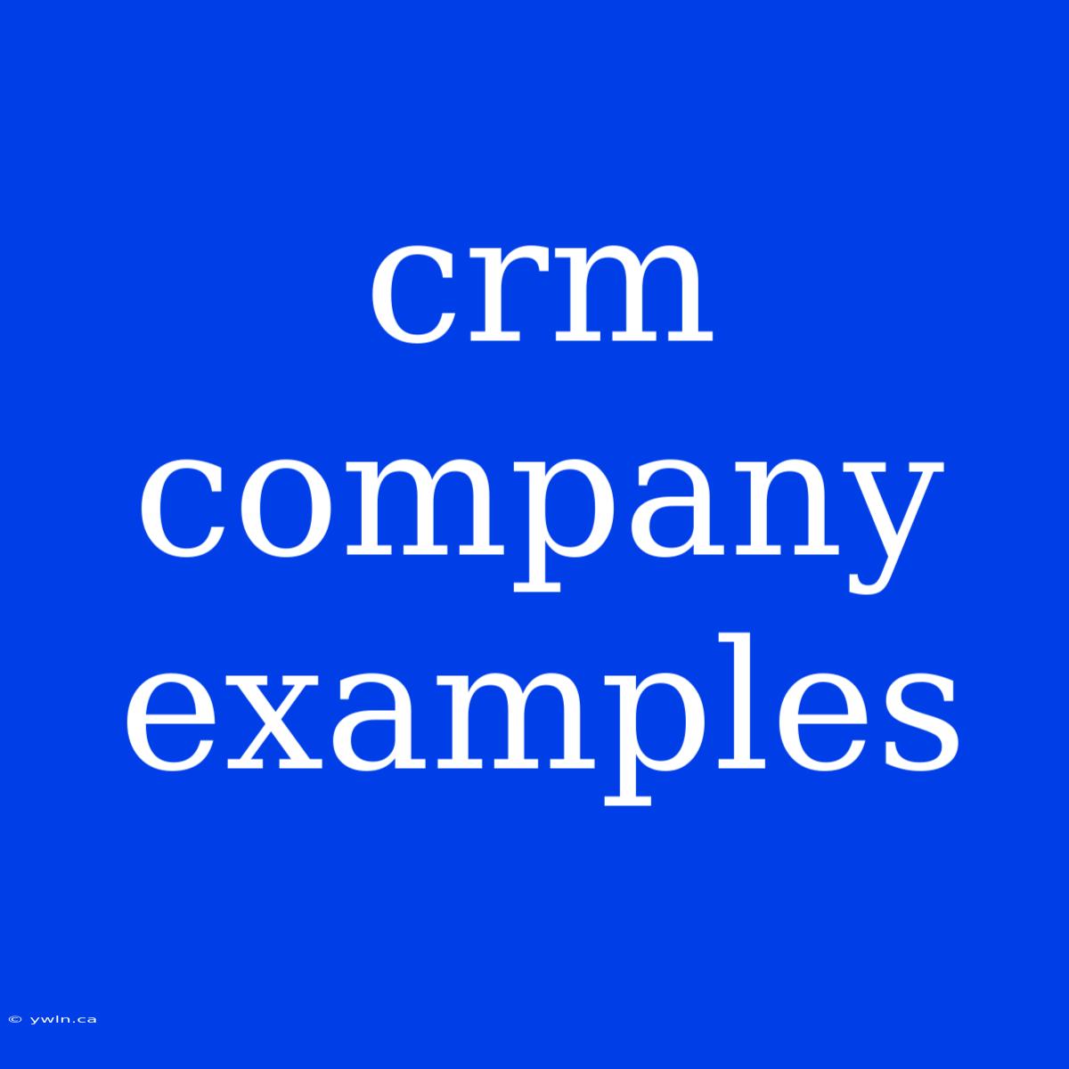 Crm Company Examples