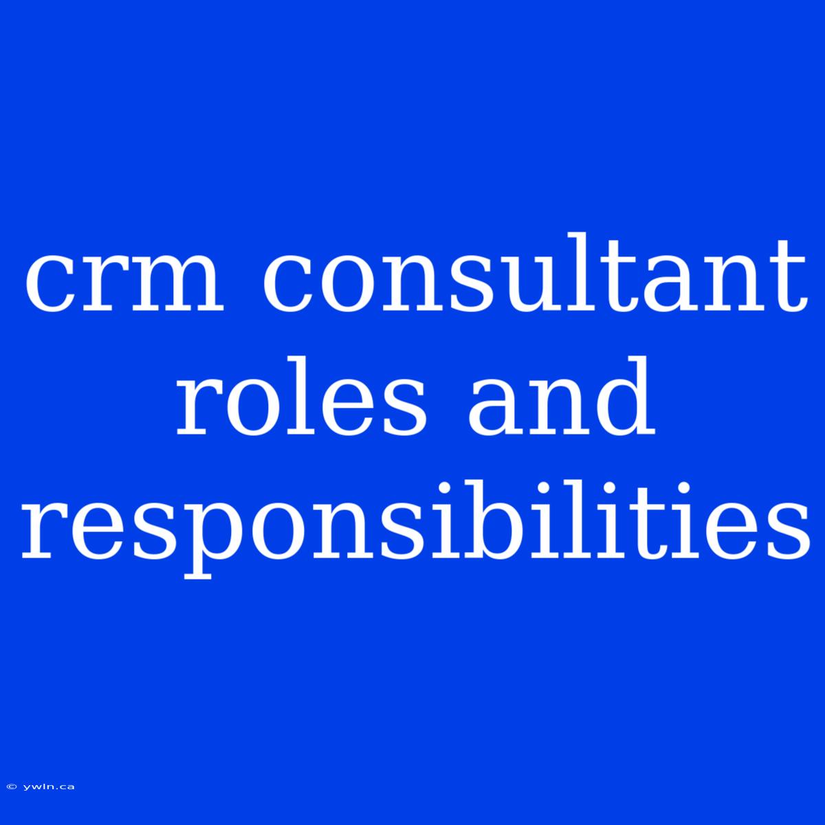 Crm Consultant Roles And Responsibilities