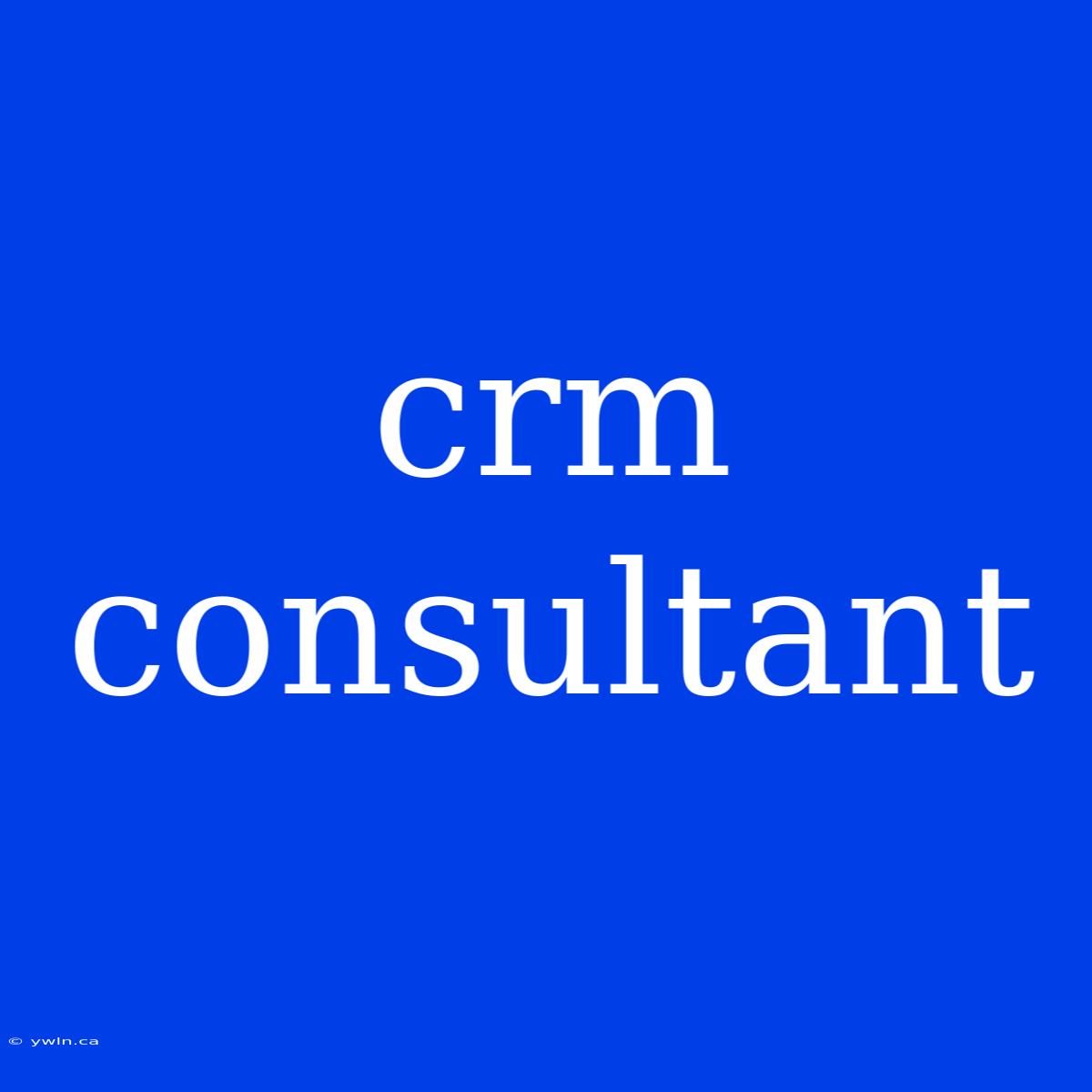 Crm Consultant