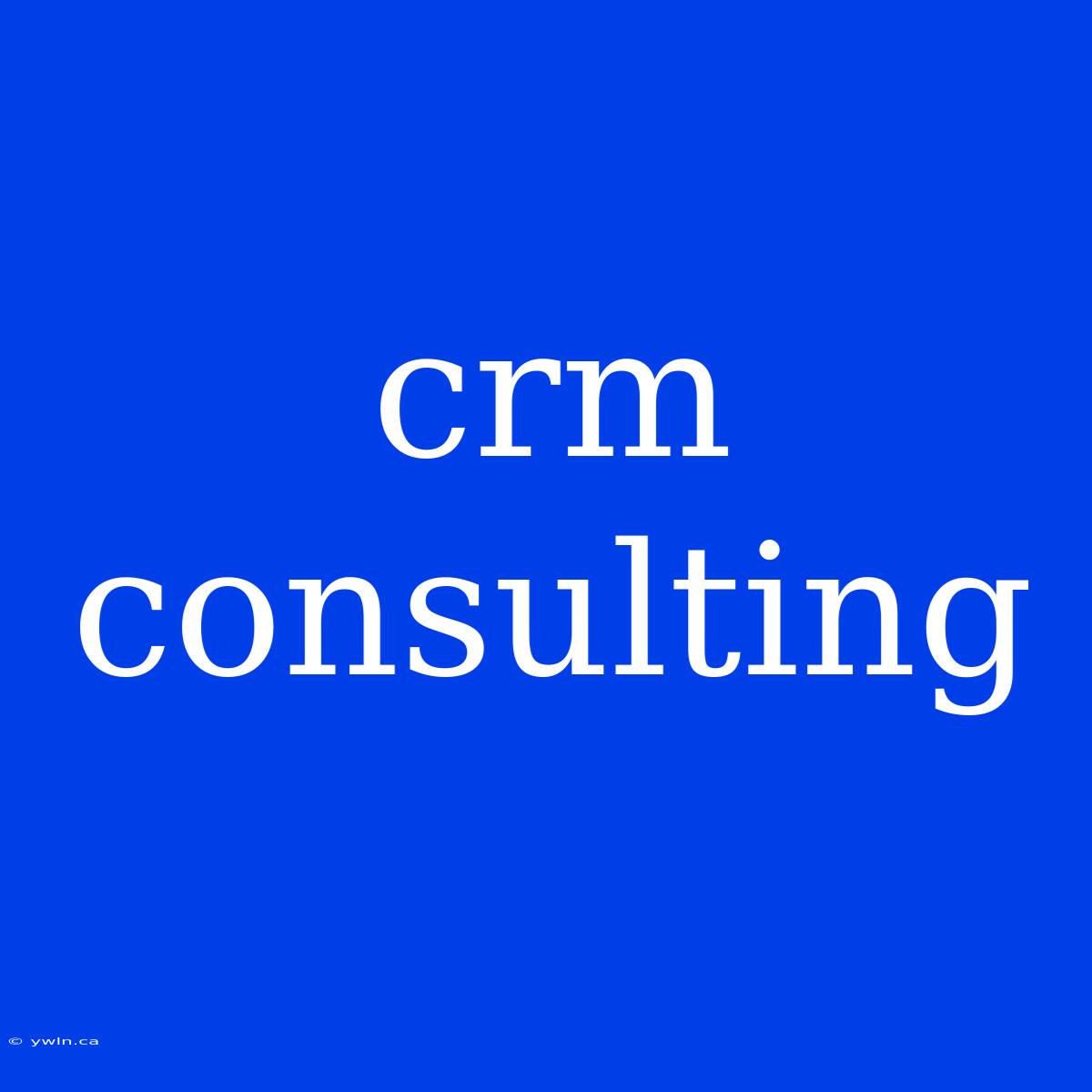 Crm Consulting