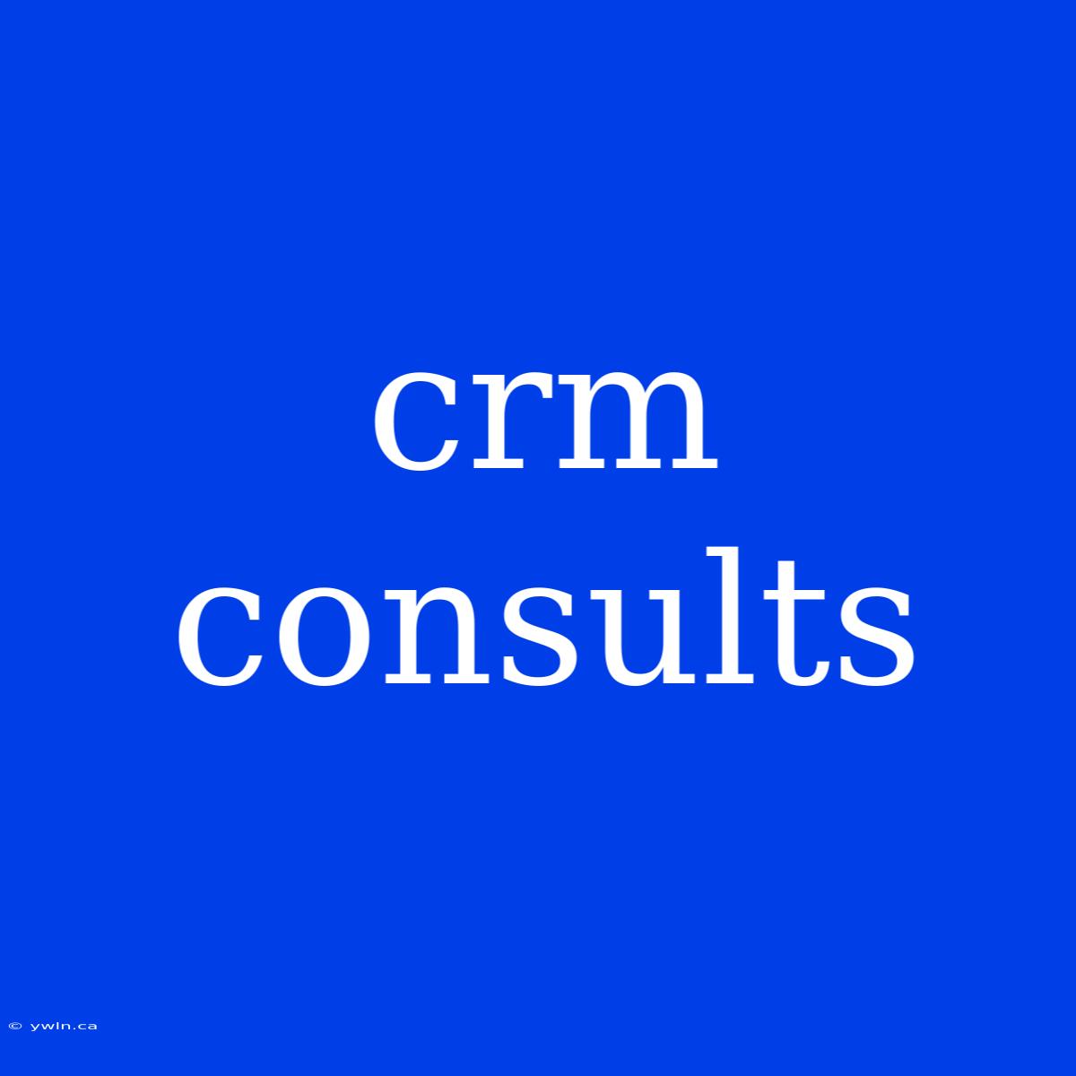 Crm Consults