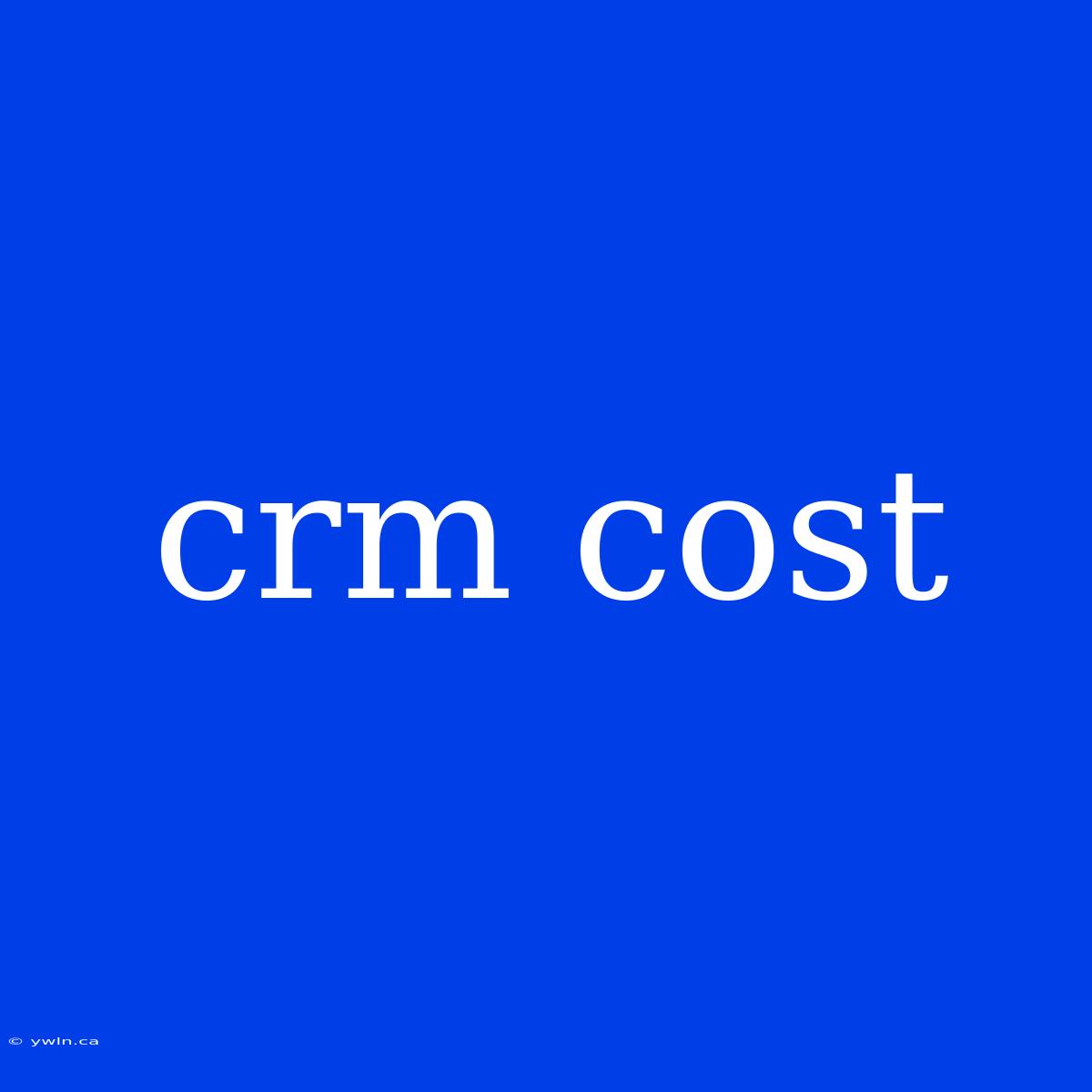 Crm Cost