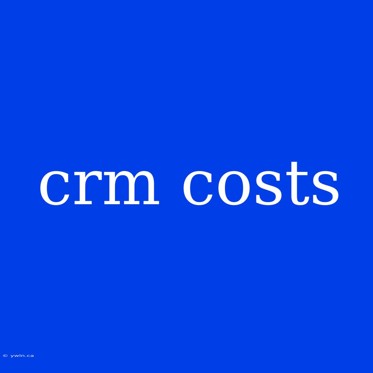 Crm Costs