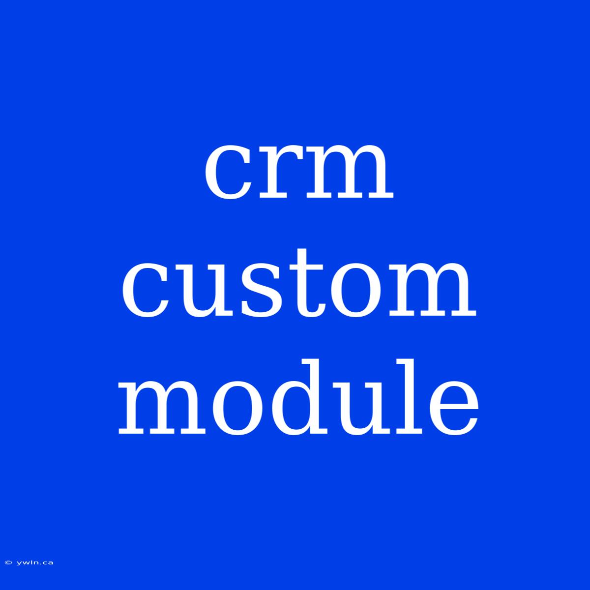 Crm Custom Module