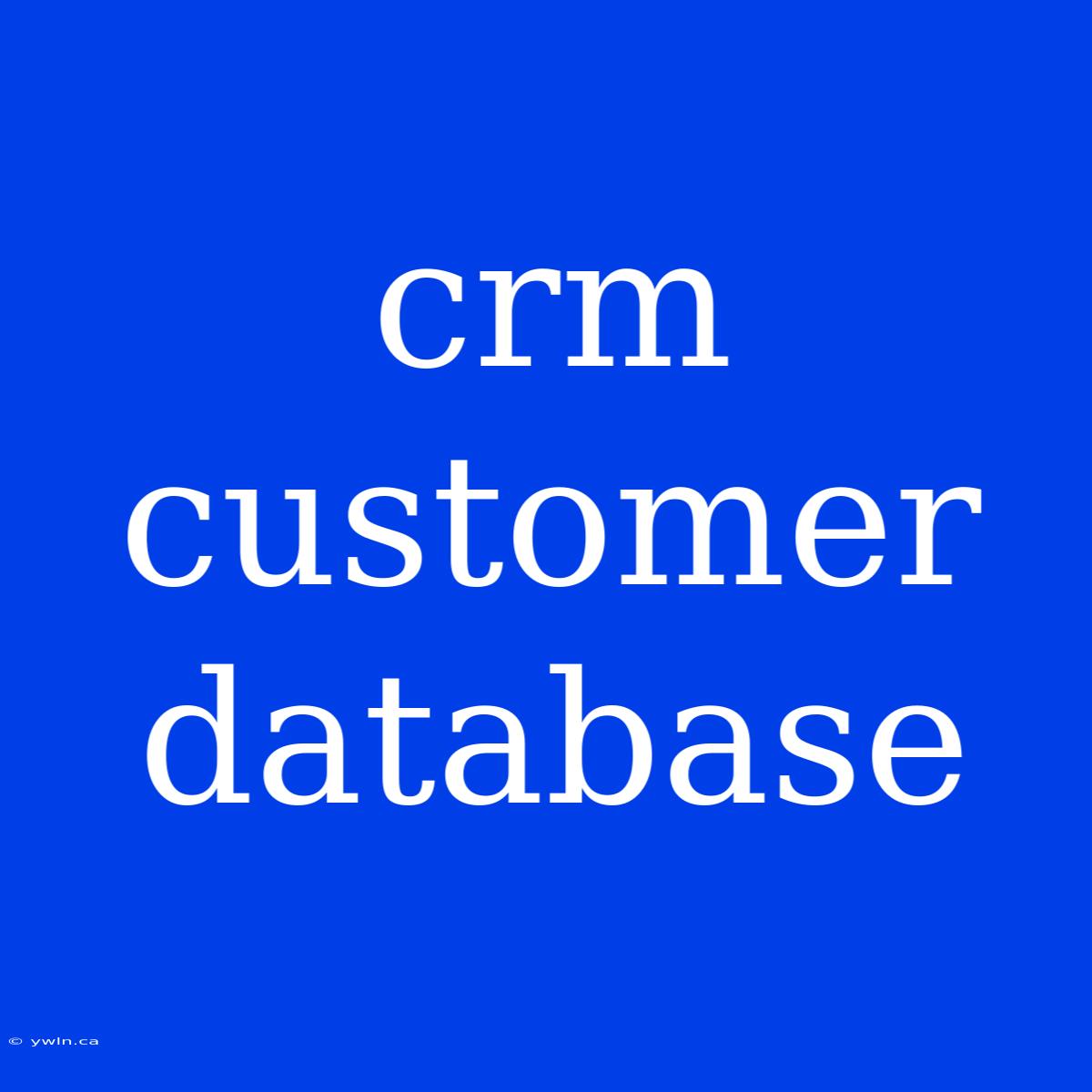 Crm Customer Database