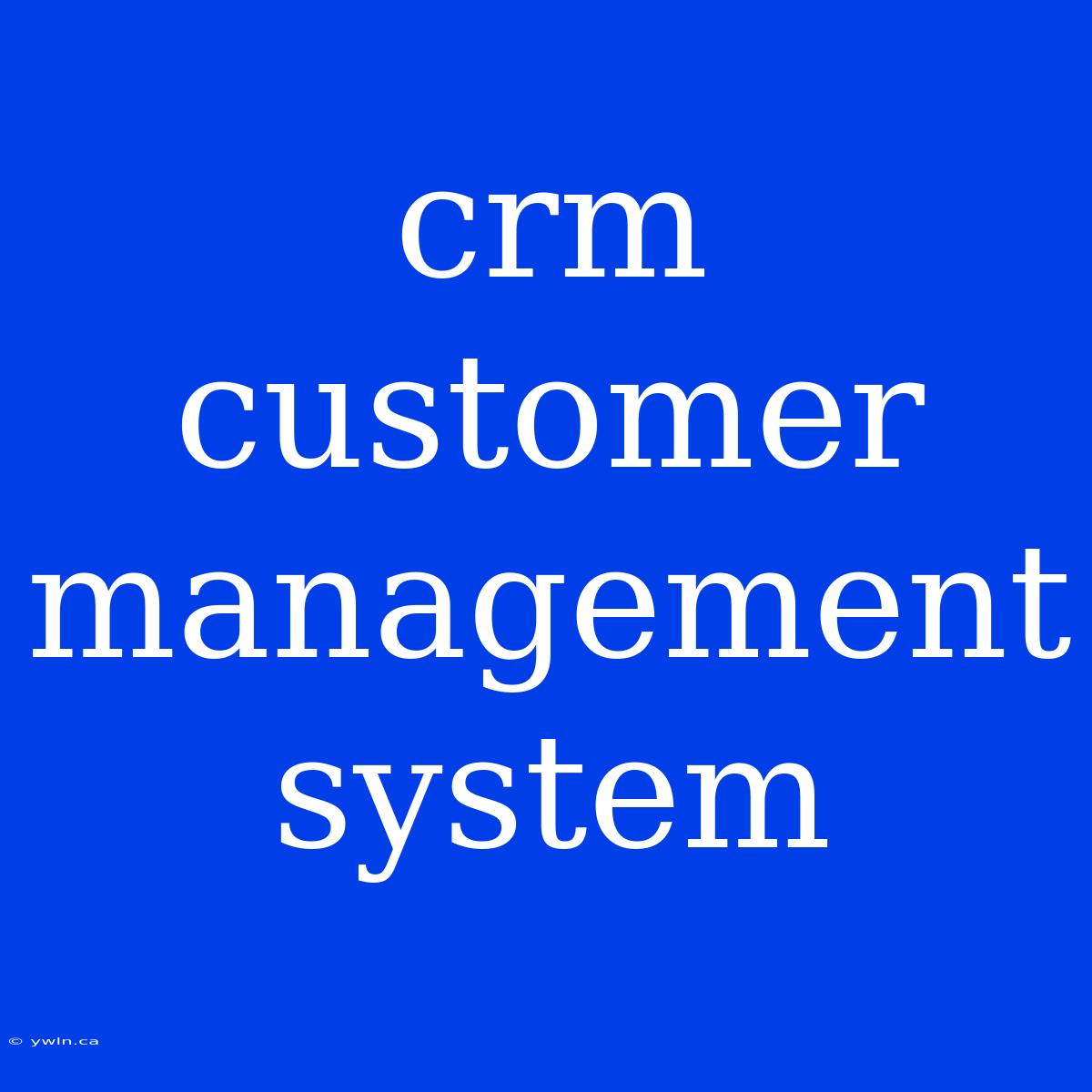 Crm Customer Management System