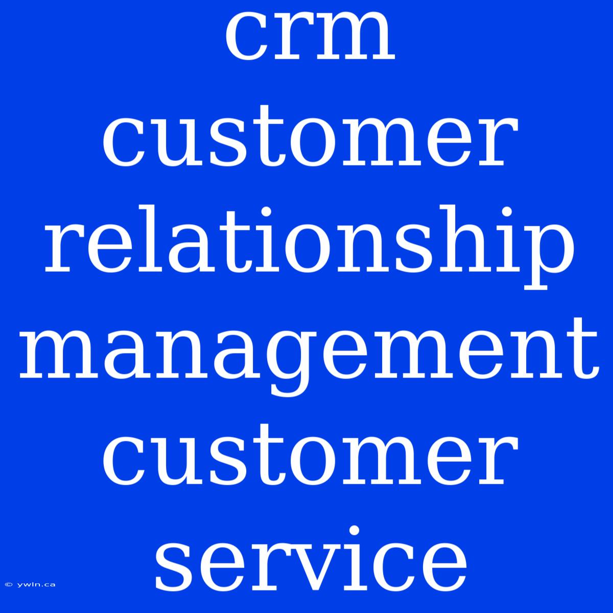 Crm Customer Relationship Management Customer Service