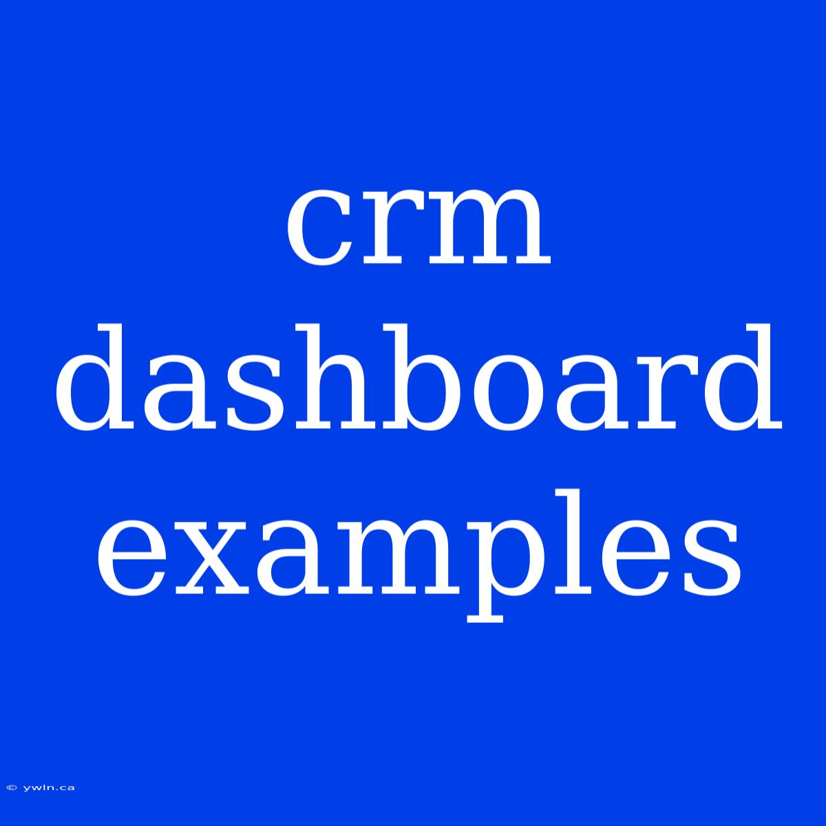 Crm Dashboard Examples