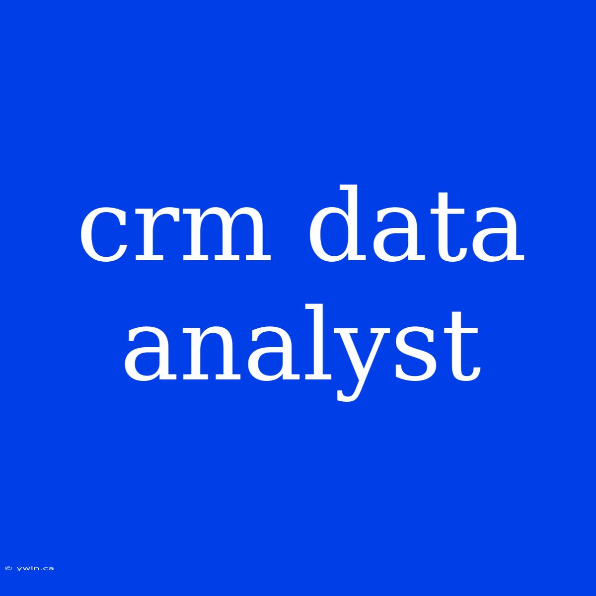 Crm Data Analyst