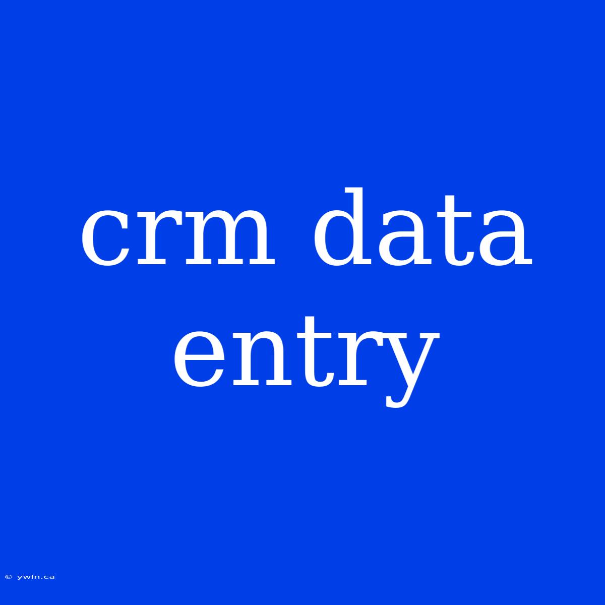 Crm Data Entry