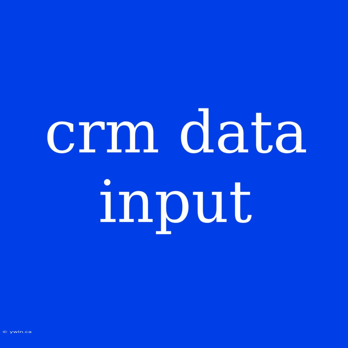 Crm Data Input