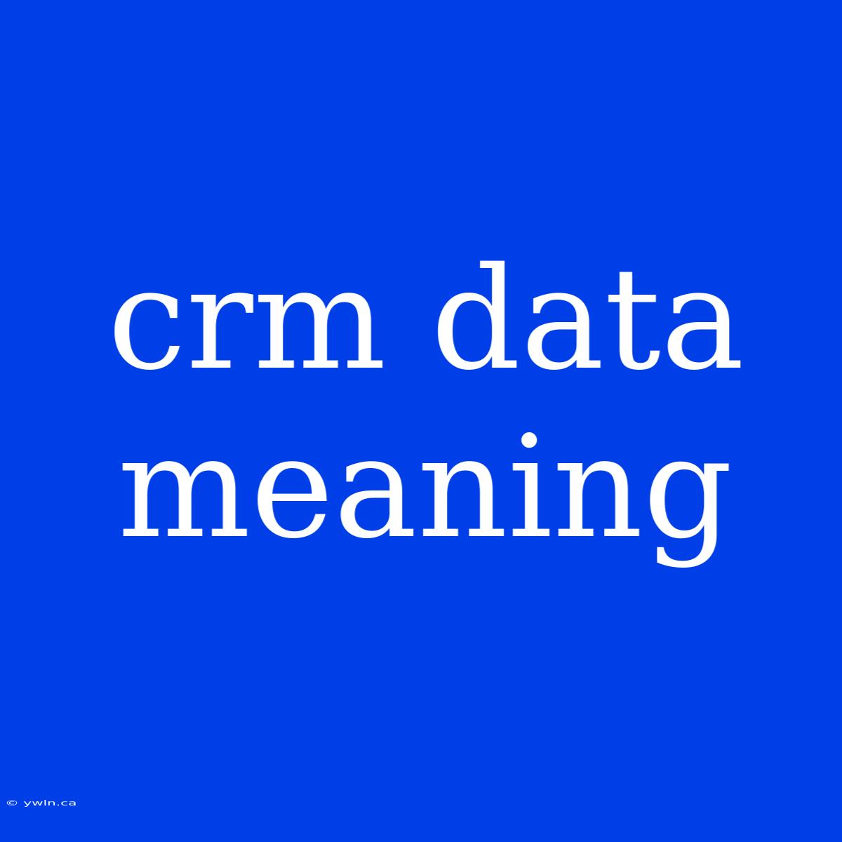 Crm Data Meaning