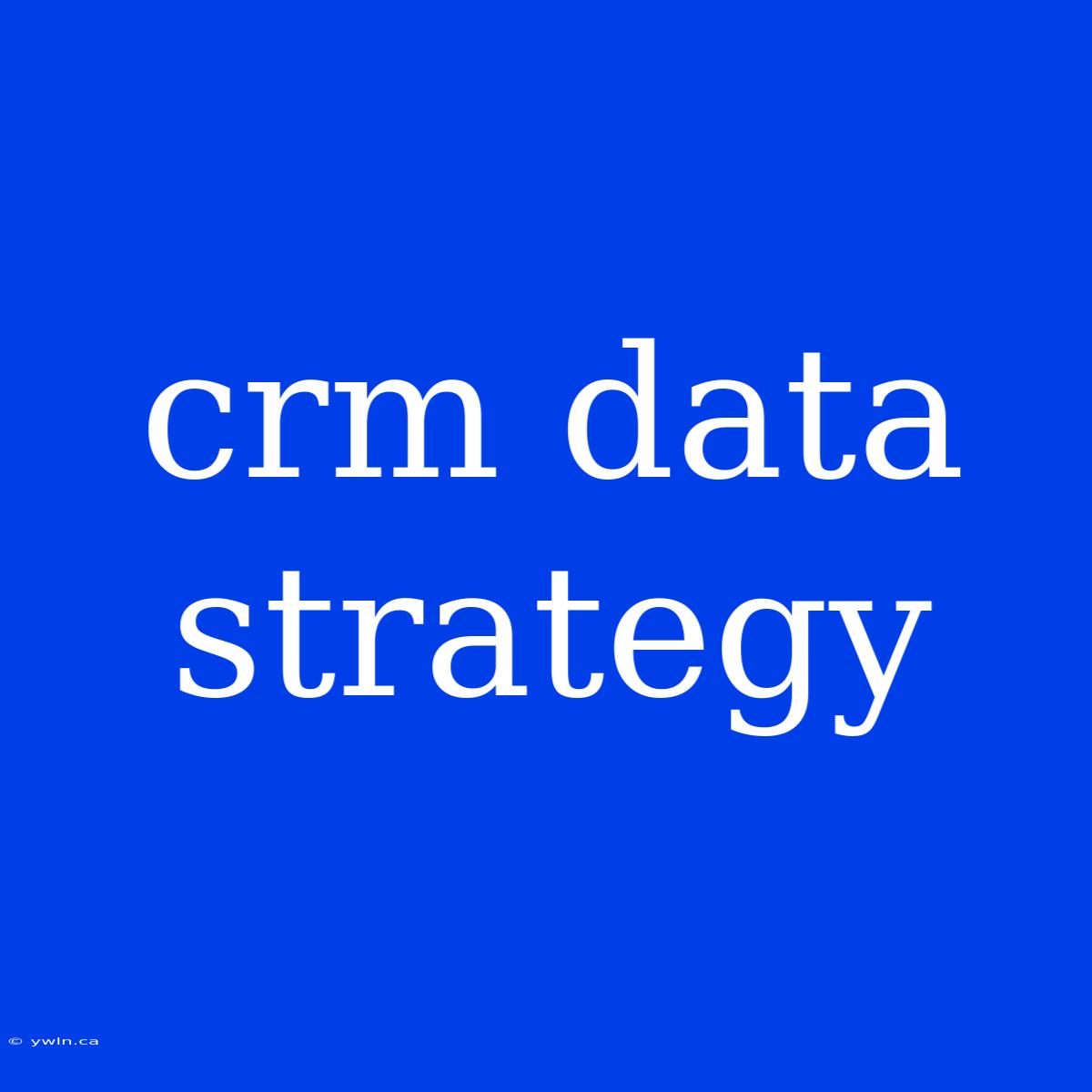 Crm Data Strategy