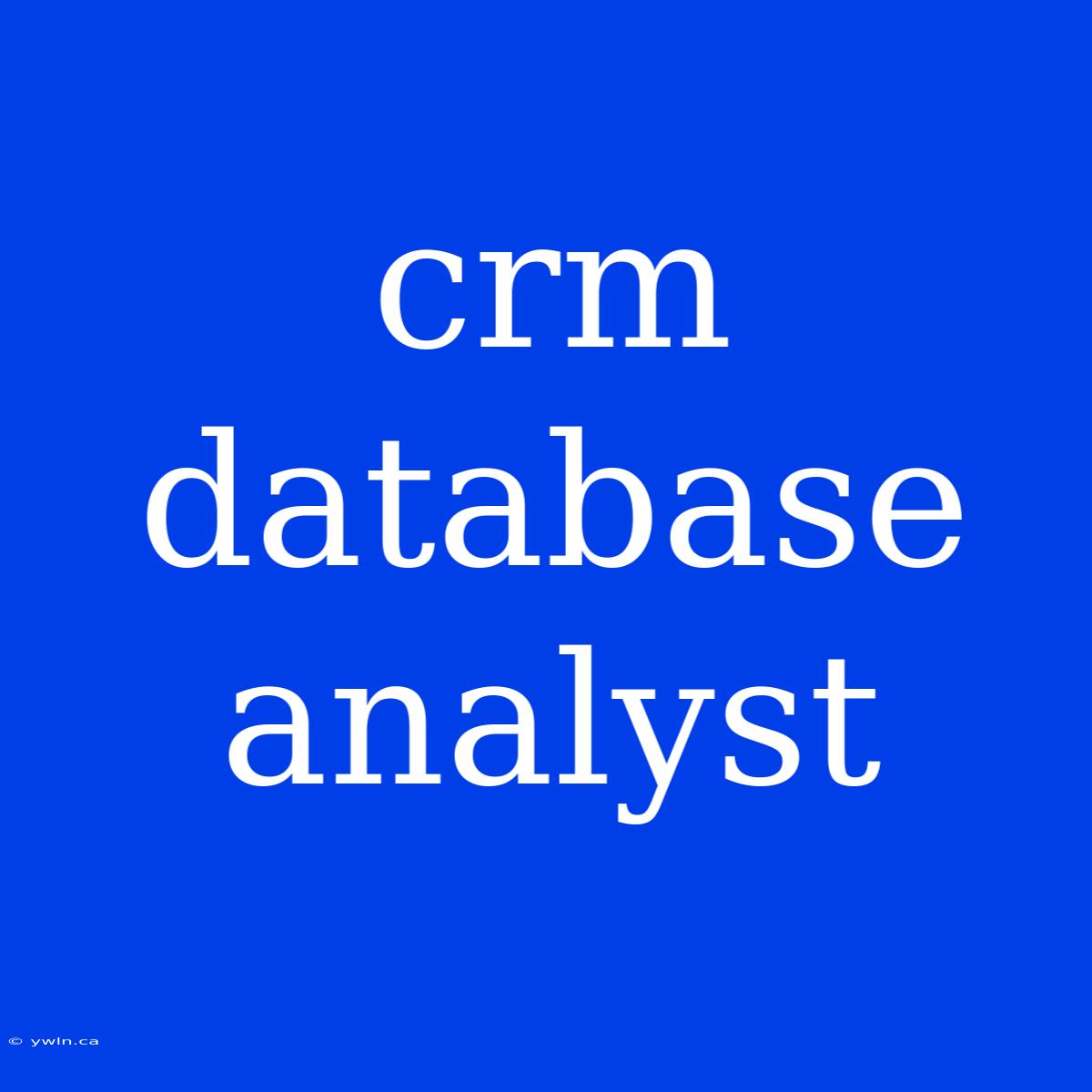 Crm Database Analyst