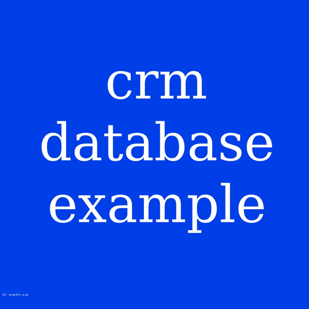 Crm Database Example