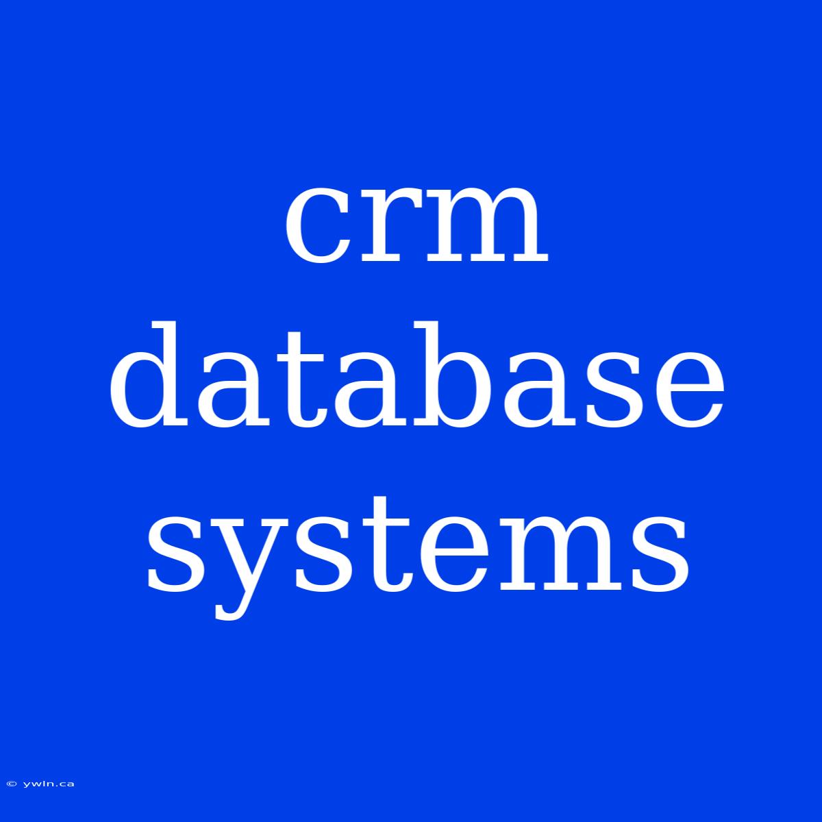 Crm Database Systems