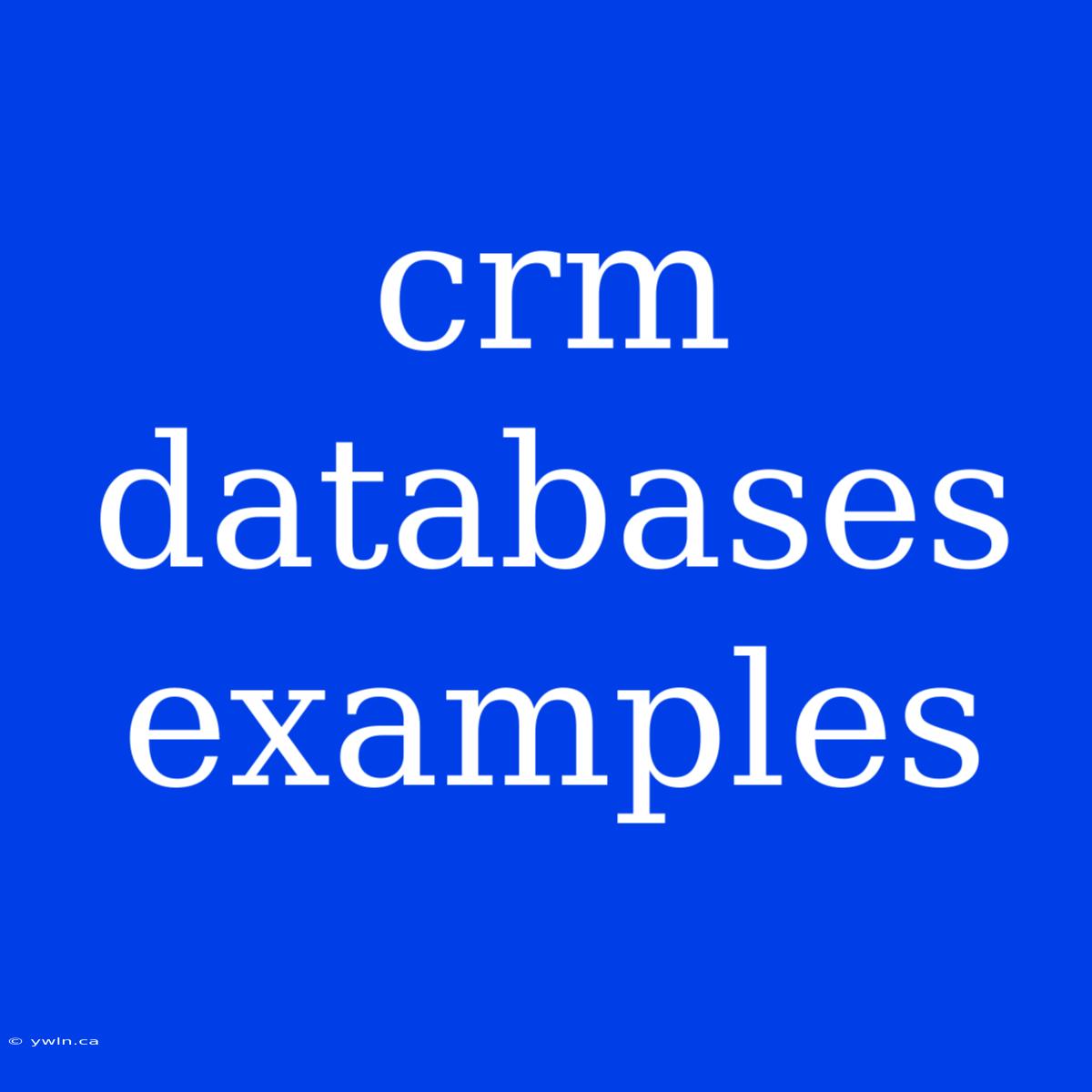 Crm Databases Examples