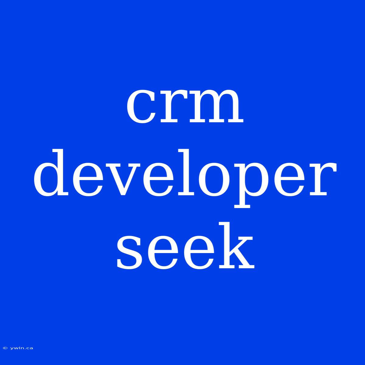 Crm Developer Seek