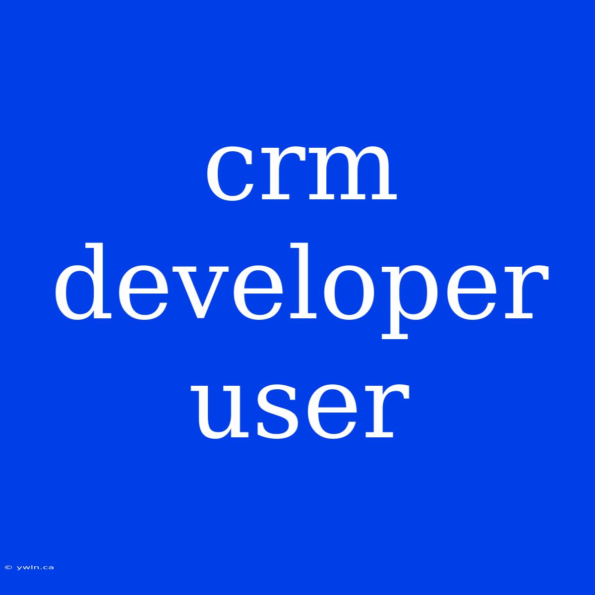 Crm Developer User