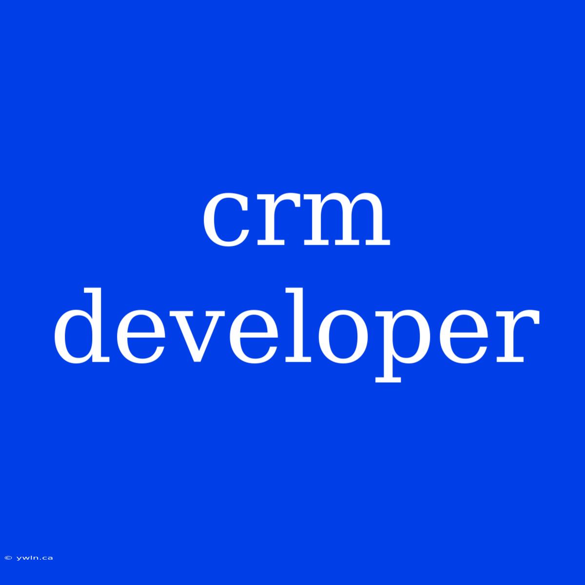 Crm Developer