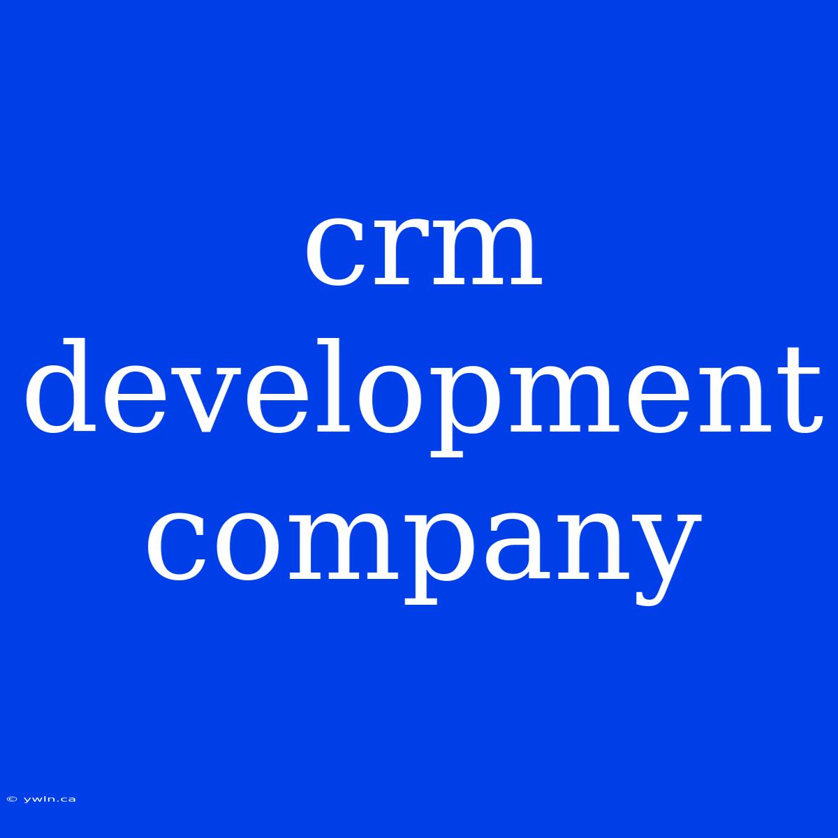 Crm Development Company