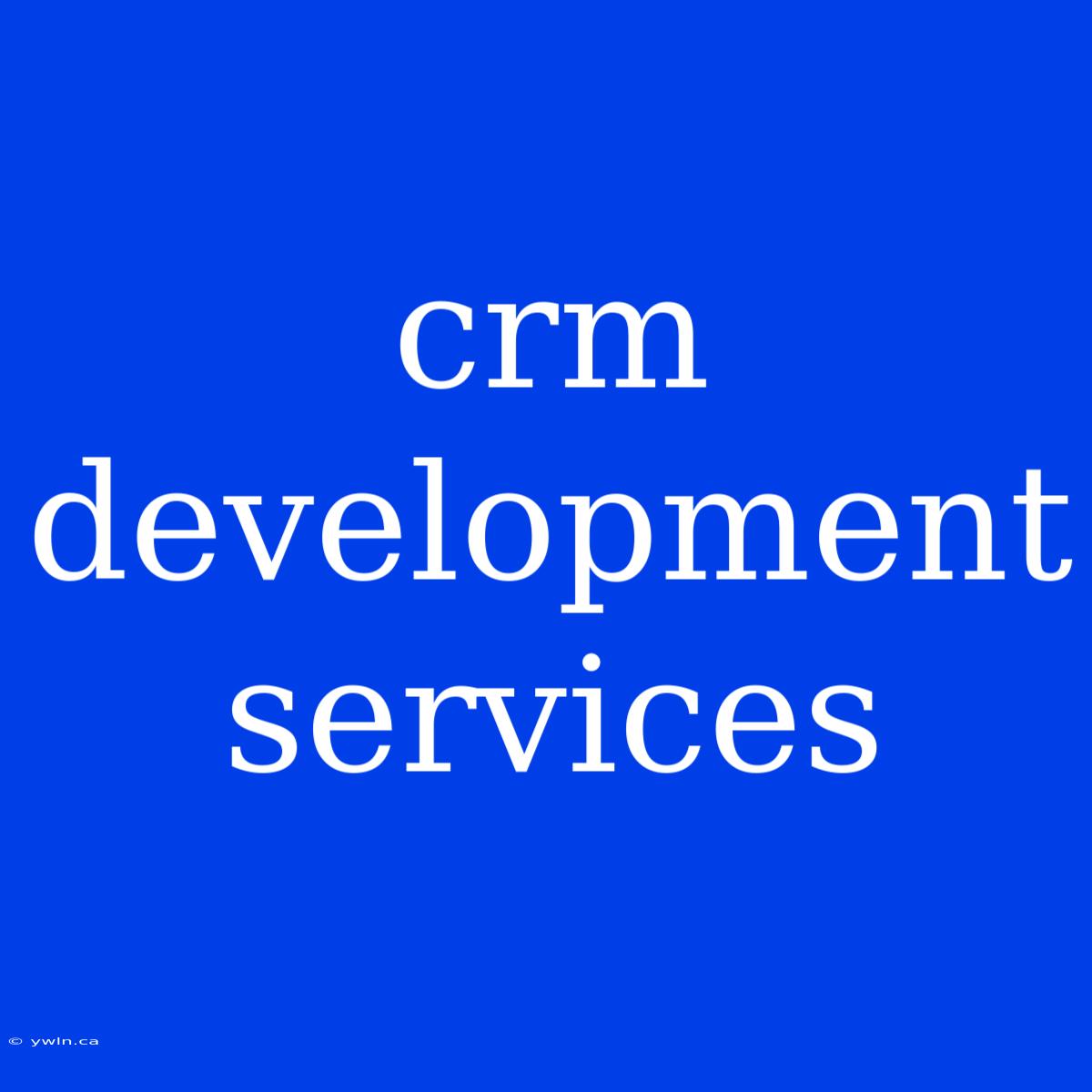 Crm Development Services