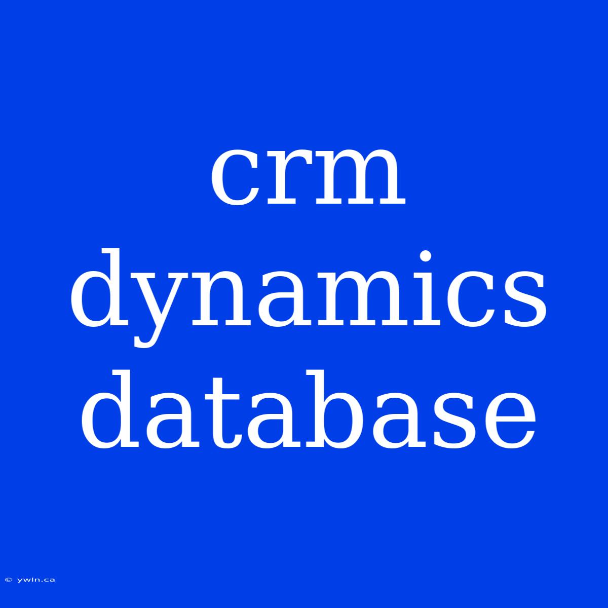 Crm Dynamics Database