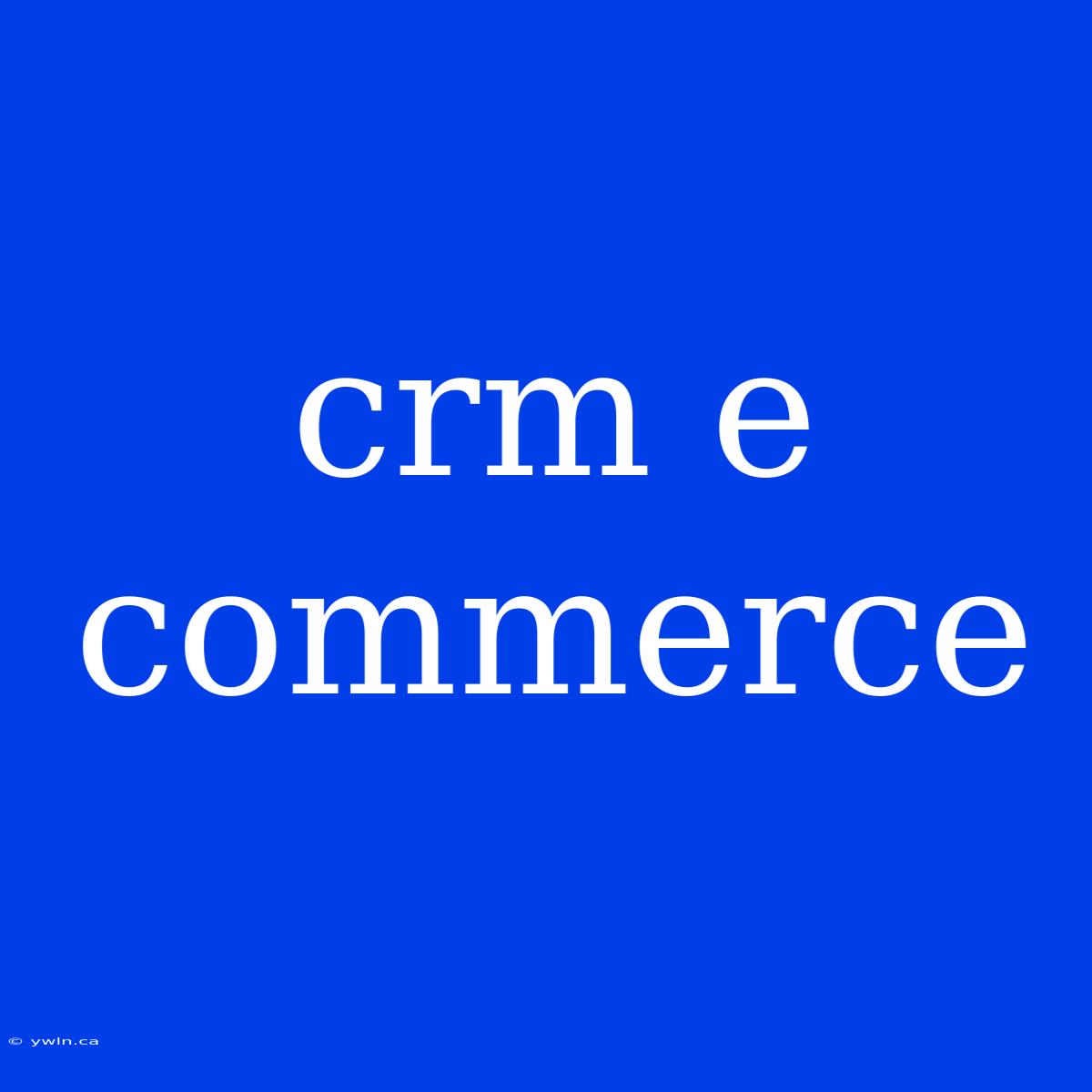 Crm E Commerce