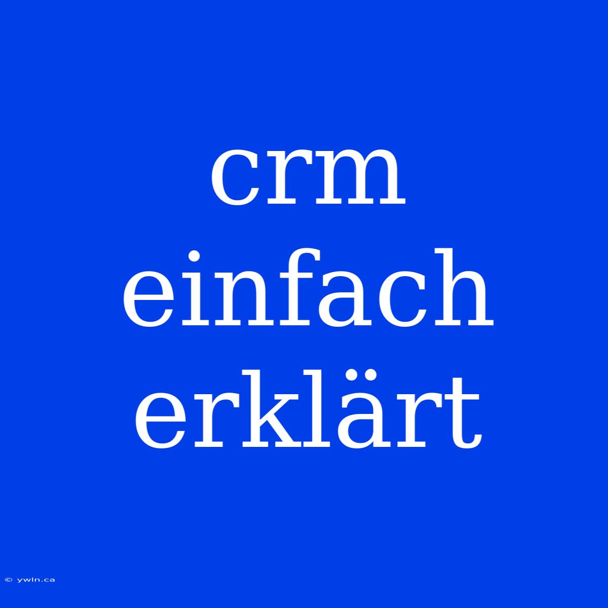 Crm Einfach Erklärt