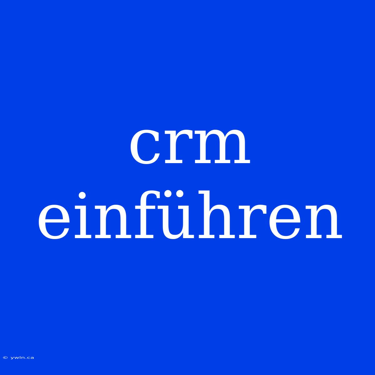 Crm Einführen