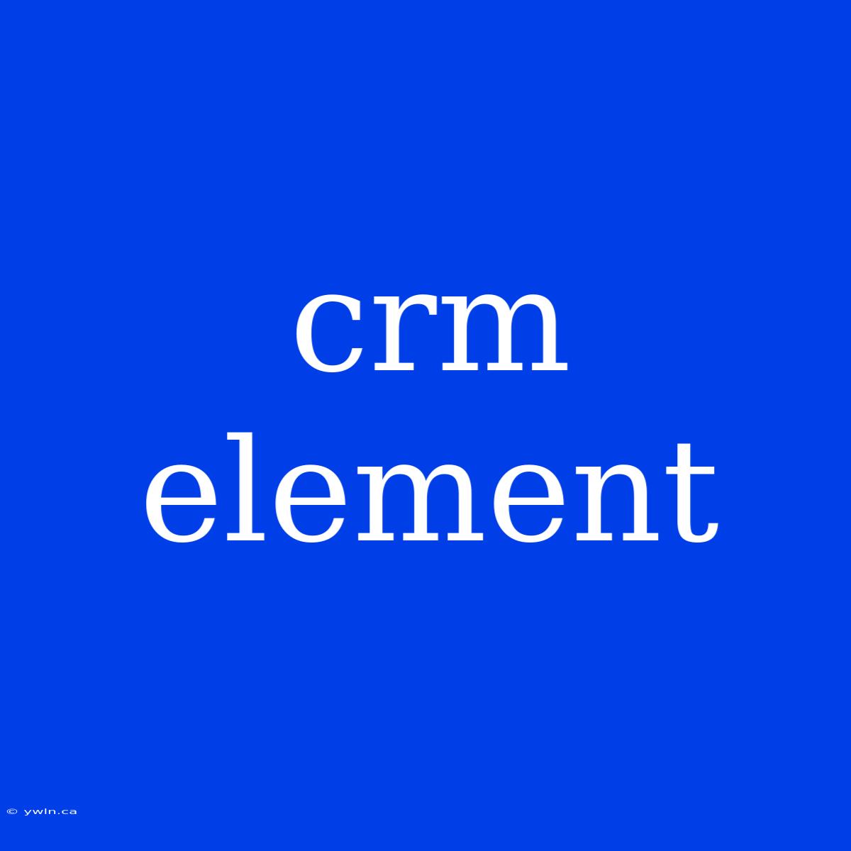 Crm Element