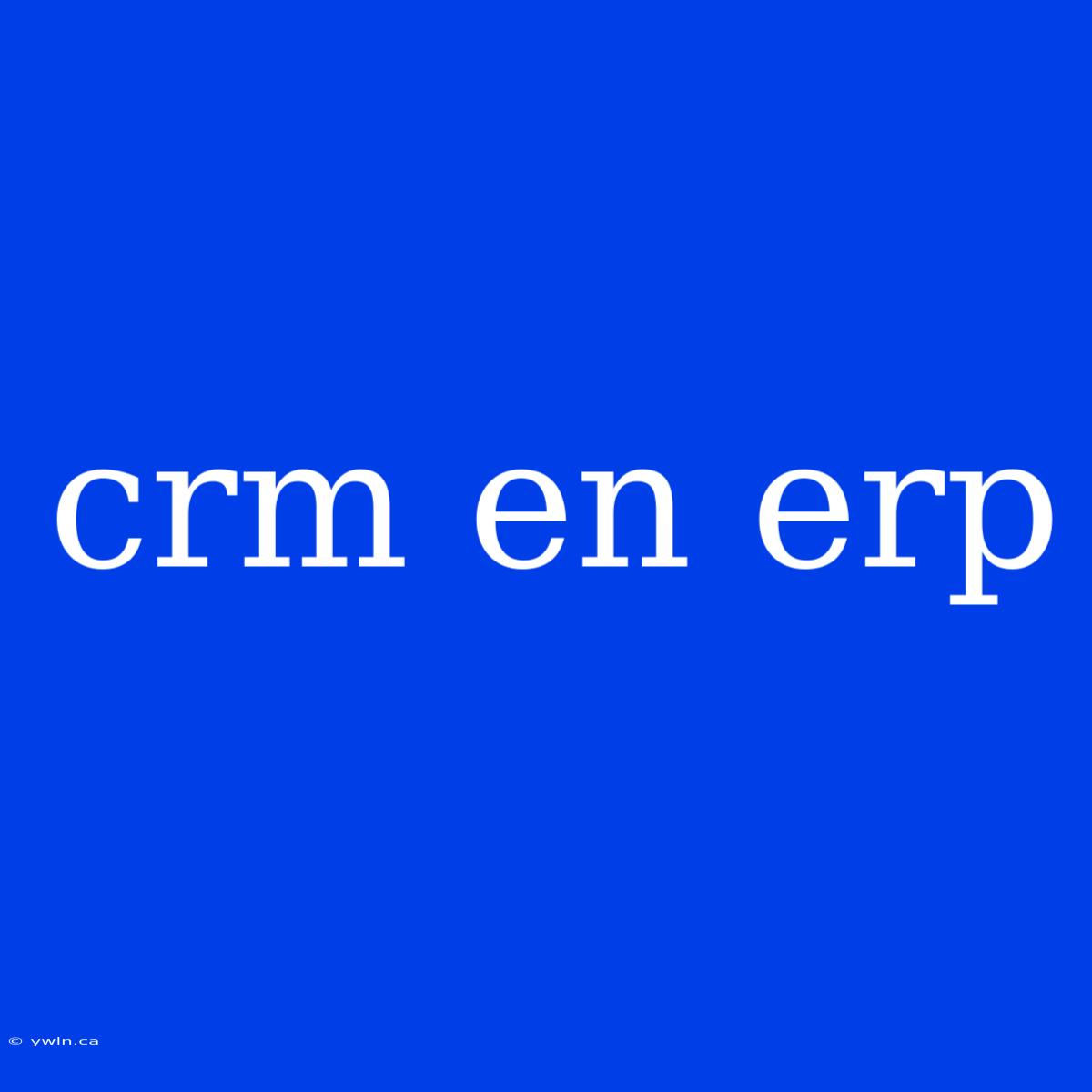 Crm En Erp