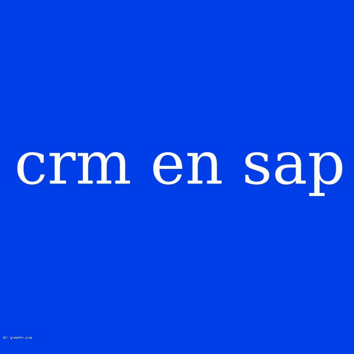 Crm En Sap