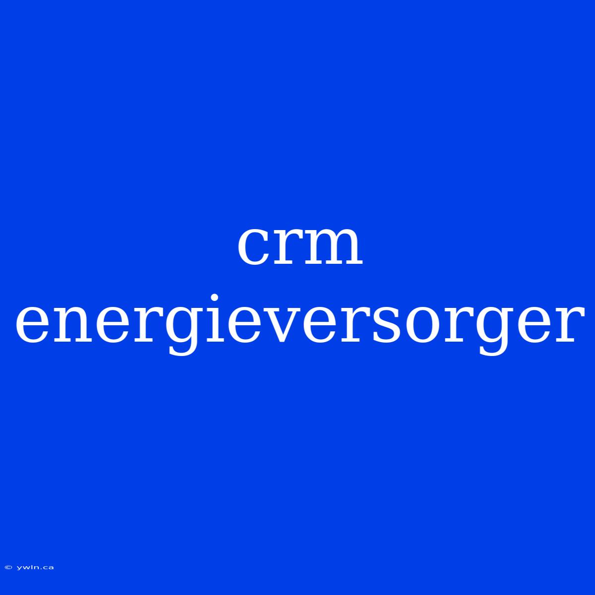 Crm Energieversorger