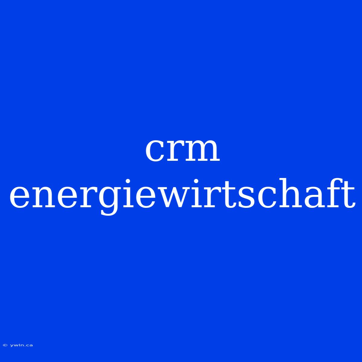 Crm Energiewirtschaft