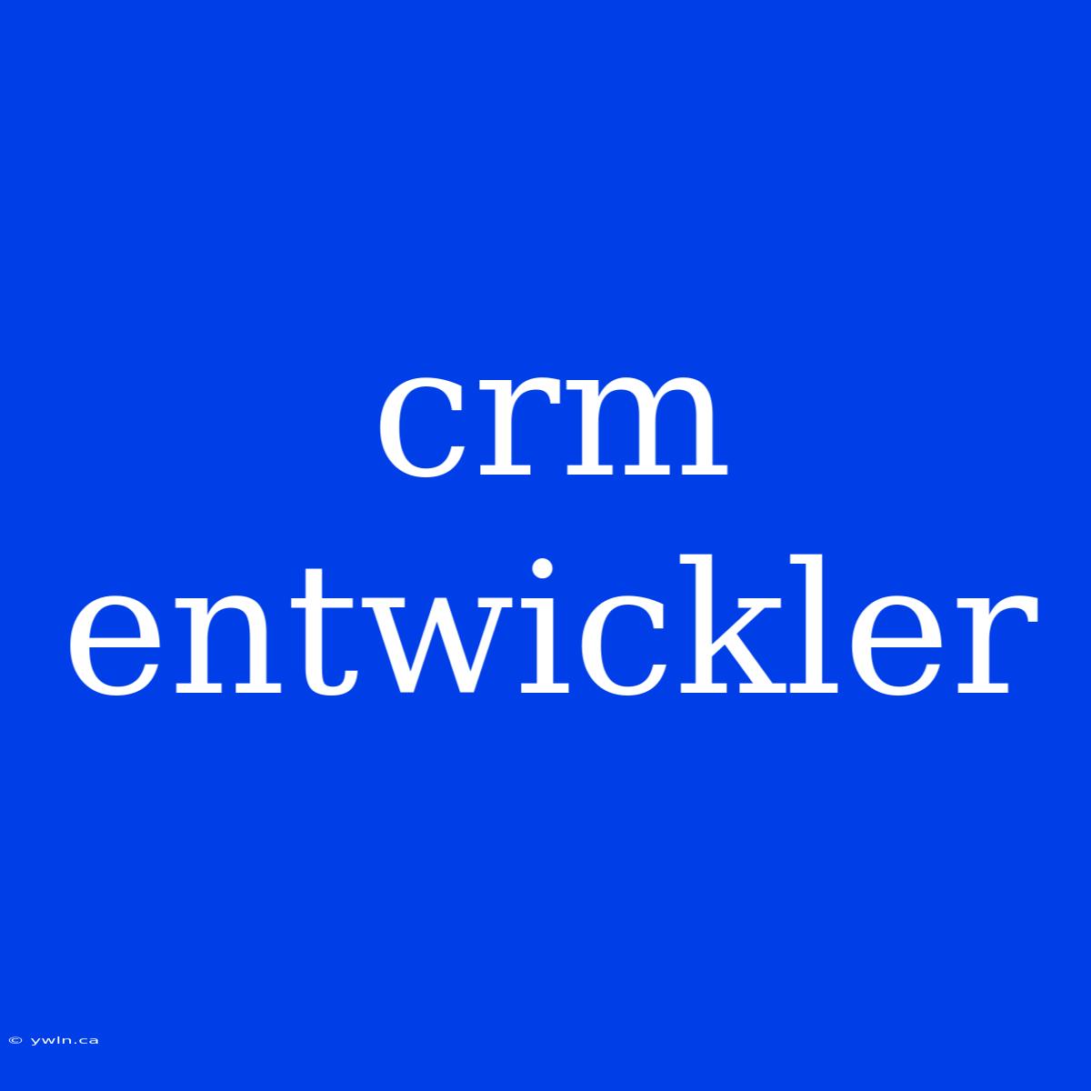 Crm Entwickler