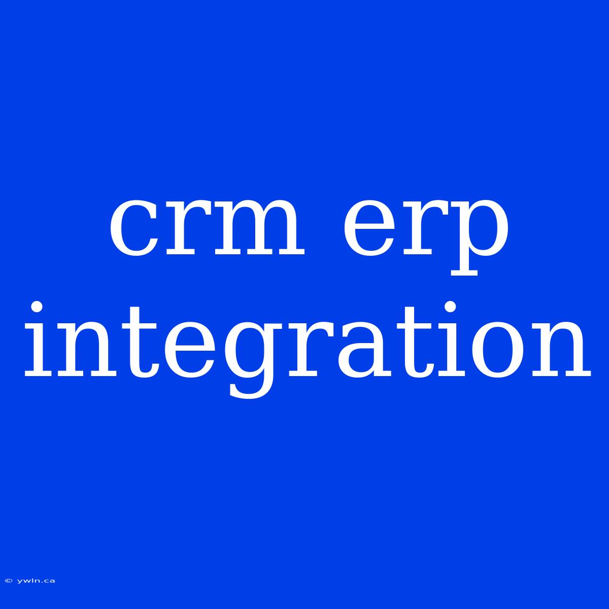 Crm Erp Integration