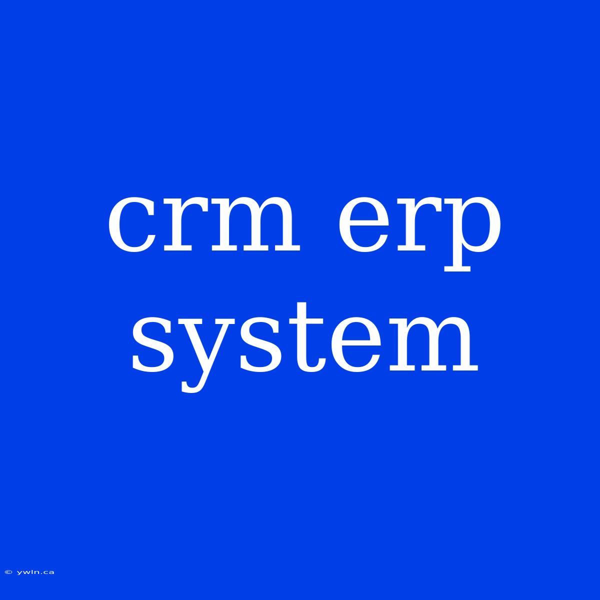 Crm Erp System